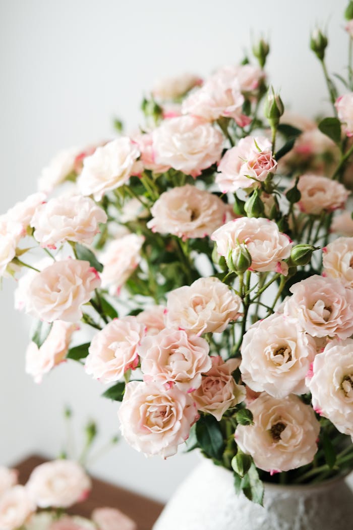 Close-up of a pink rose bouquet in a decorative vase, perfect for decor or gifting.